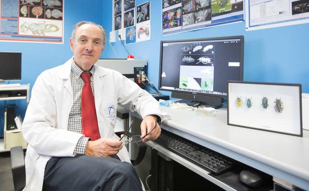 Un escarabajo de la Universidad de Granada se cuela en los Oscars