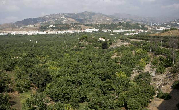 La desaladora de Almuñécar que nunca llegó a construirse