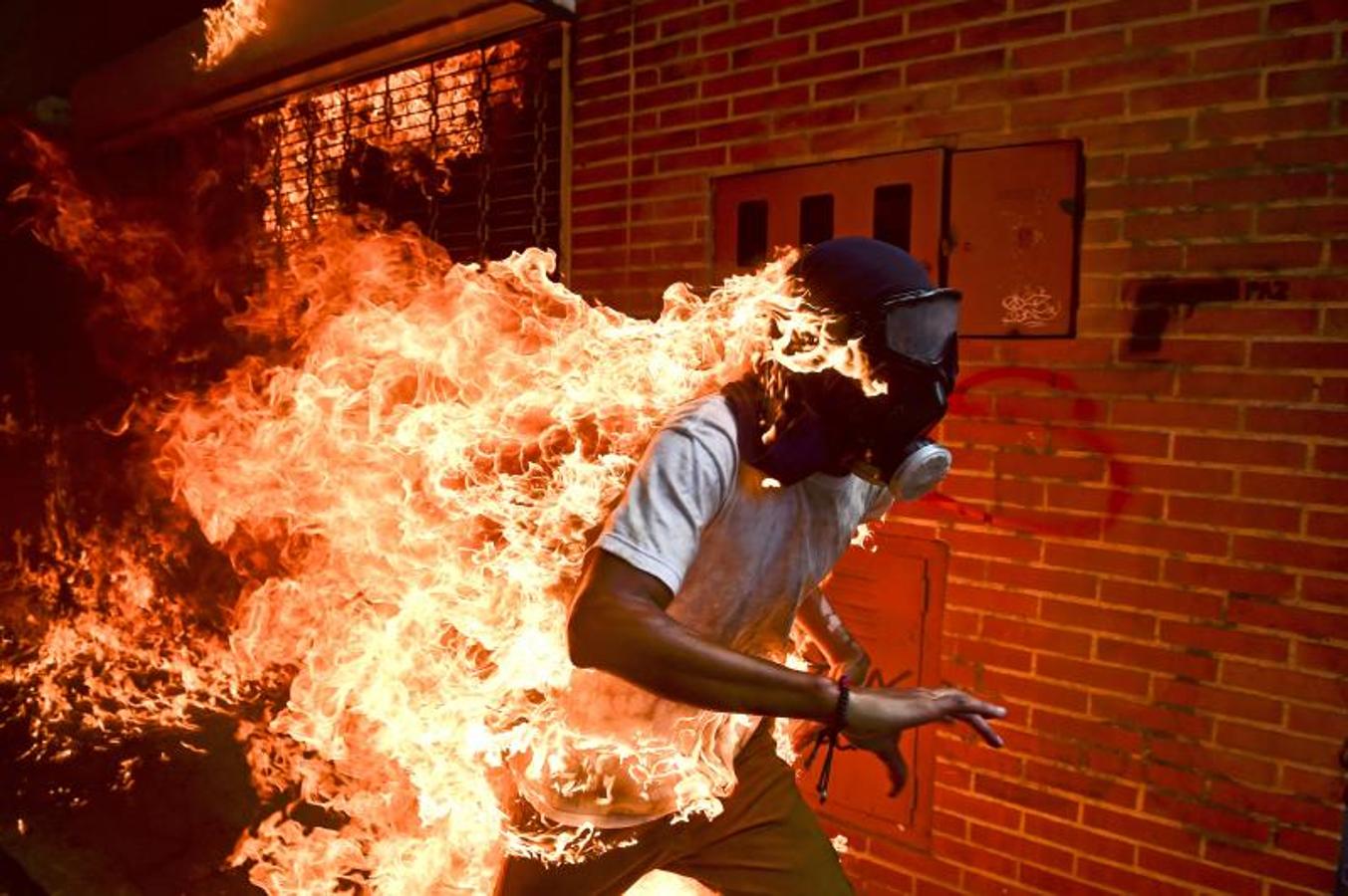 Las 10 imágenes nominadas al World Press Photo