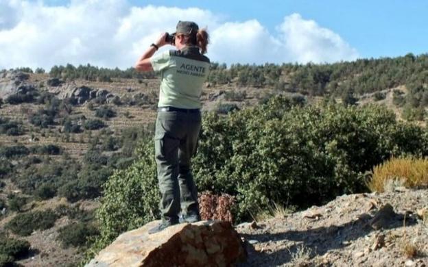 Un juez ordena el derribo de un chalé ilegal en el Parque de Cazorla y Segura