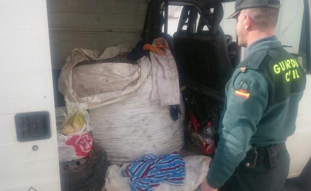 Investigan a 25 individuos por la sustracción de 5.724 kilos de aceituna