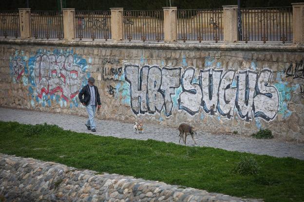 Vandalismo en las riberas del Genil