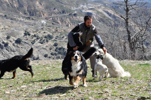 Un hotel 'perruno' en la Alpujarra