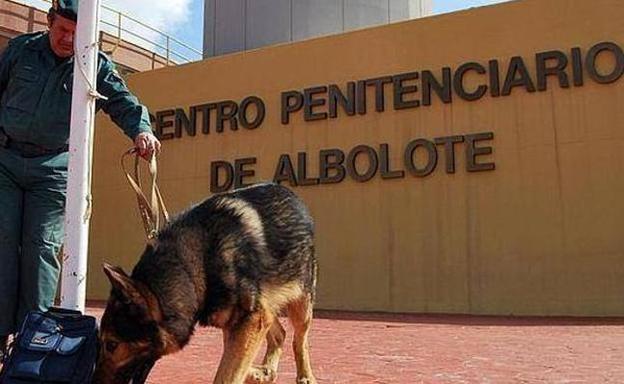 El traslado de presos de Albolote a Archidona se hará de forma escalonada