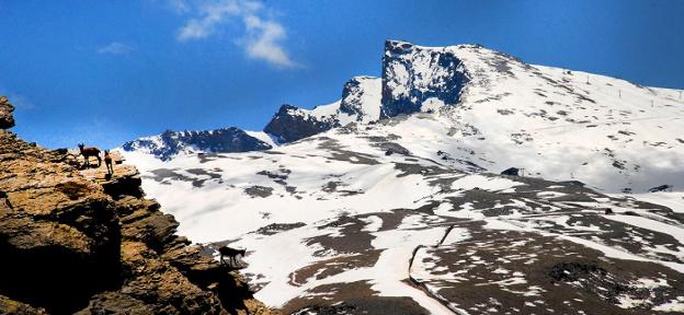 Sierra Nevada, laboratorio del clima