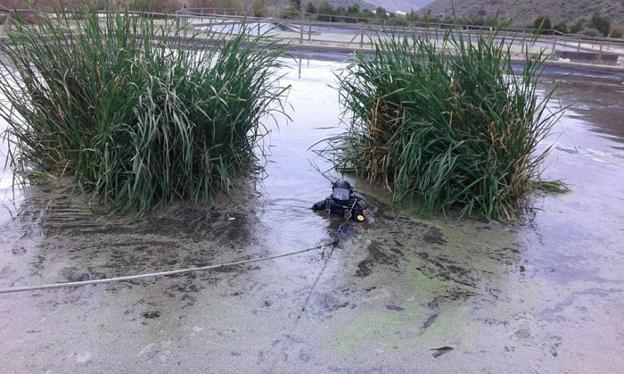 Los padres de Gabriel, «esperanzados» de que su hijo esté vivo tras no hallar nada en la depuradora