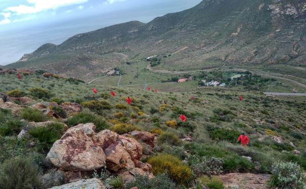 Bomberos de Granada participan en la búsqueda de Gabriel en Almería