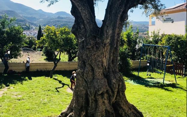 Doce locales de Granada para comer con niños