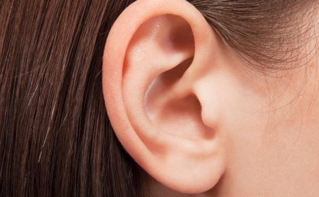 Descubren un hallazgo desconocido hasta el momento sobre el oído humano