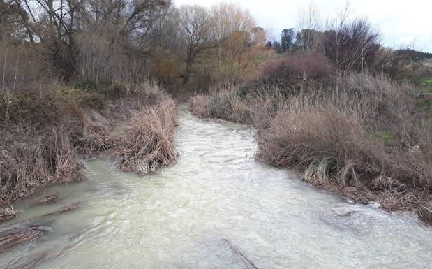 El día después del temporal revela importantes daños en caminos y explotaciones agrícolas de la Vega de Granada