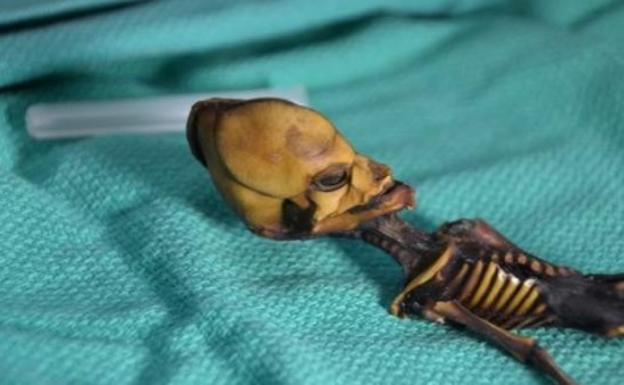 El extraño esqueleto 'alienígena' que desconcierta a los científicos: ¿qué esconde realmente?