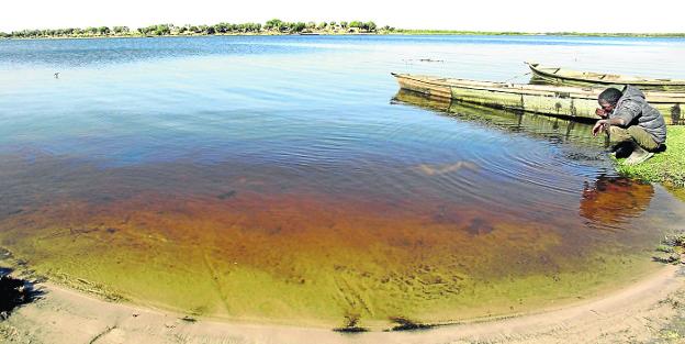 El descomunal lago que está en peligro de extinción: así buscan salvarlo