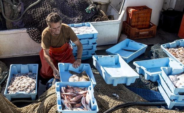 Los pescadores motrileños se ‘asocian’ con los de otras zonas