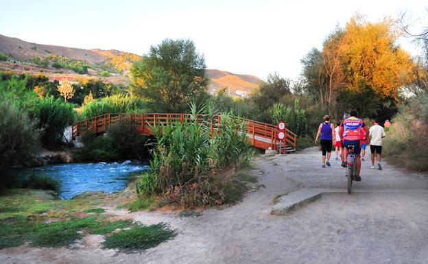 El germen de la Granada verde