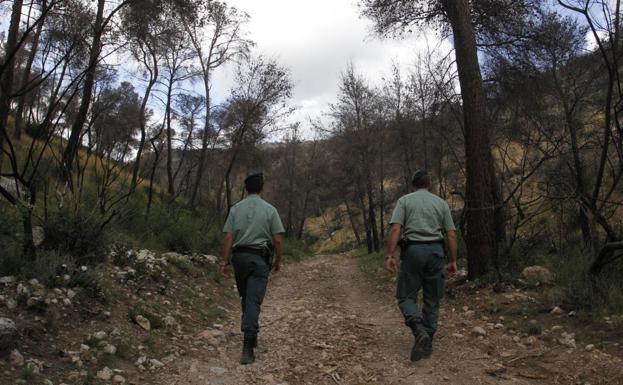 Arrestan a un hombre por mantener relaciones sexuales con una yegua y una potra en Mallorca