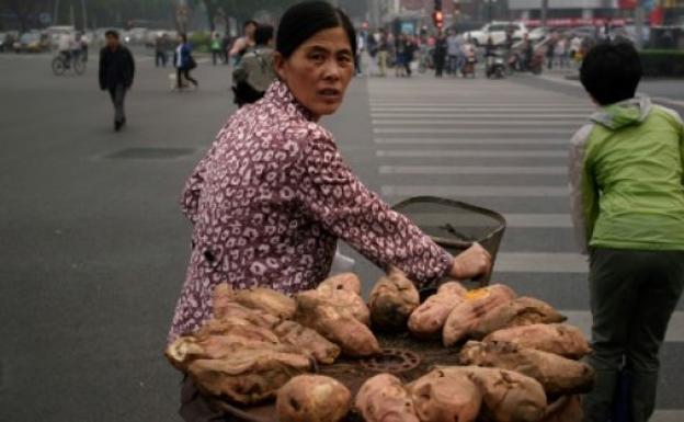 Los boniatos habrían llegado a la Polinesia mucho antes que los humanos