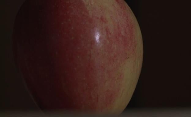 'Multazo' de 500 dólares por no declarar una manzana que le regalaron durante el vuelo