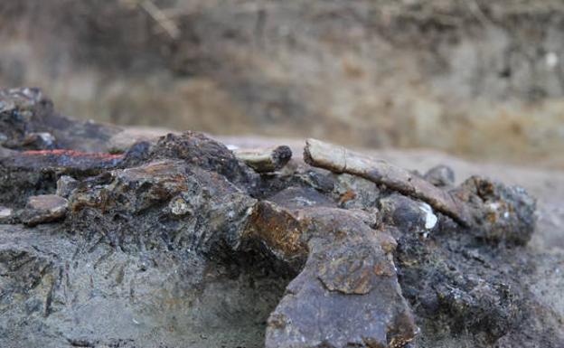 Los humanos ya poblaban las islas de Filipinas hace 700.000 años