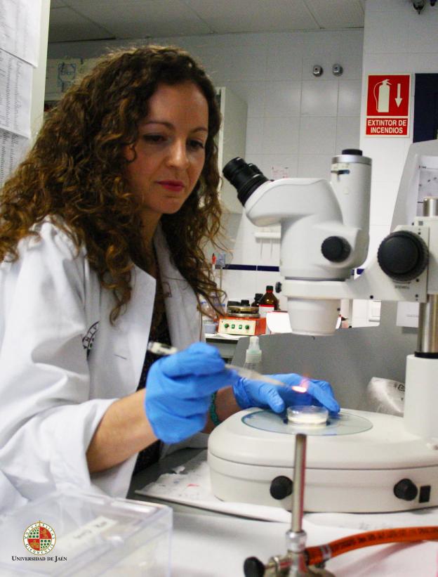 Castillo de Locubín, el pueblo que valora la ciencia