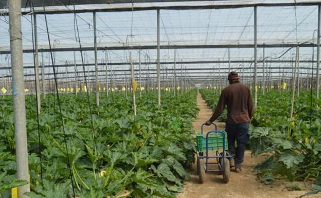 Los fondos reembolsables salvan 3.102 empleos del sector agroalimentario