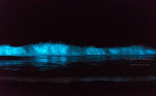 El asombroso fenómeno que hace billar las olas del mar en la oscuridad