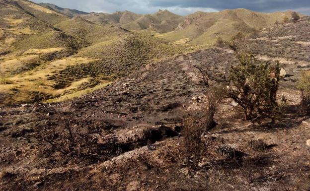 Controlado el incendio forestal de Tabernas
