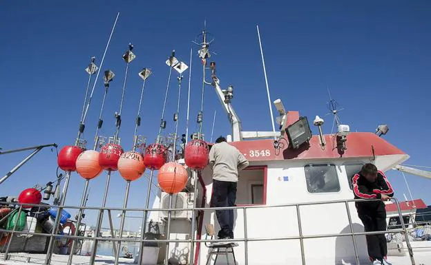 El nuevo reglamento de pesca que impulsa Europa pone en riesgo la quisquilla de Motril