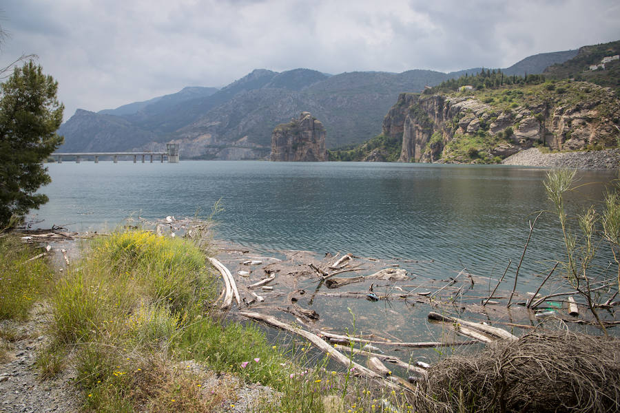 Canales desembalsará hoy por primera vez en ocho años y subirá el cauce del río Genil