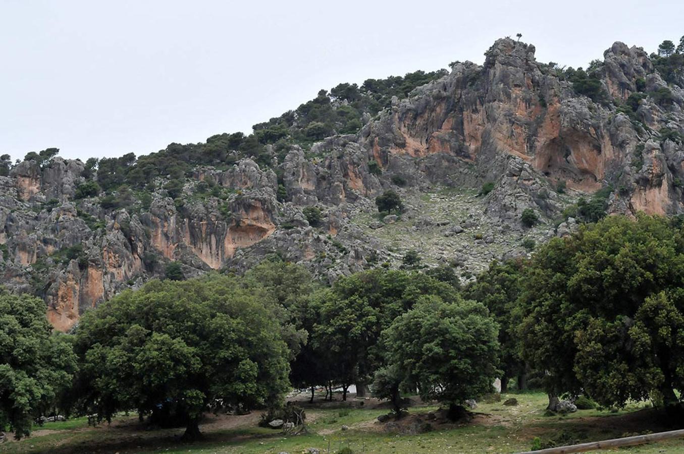 Parques Naturales de Andalucía oriental