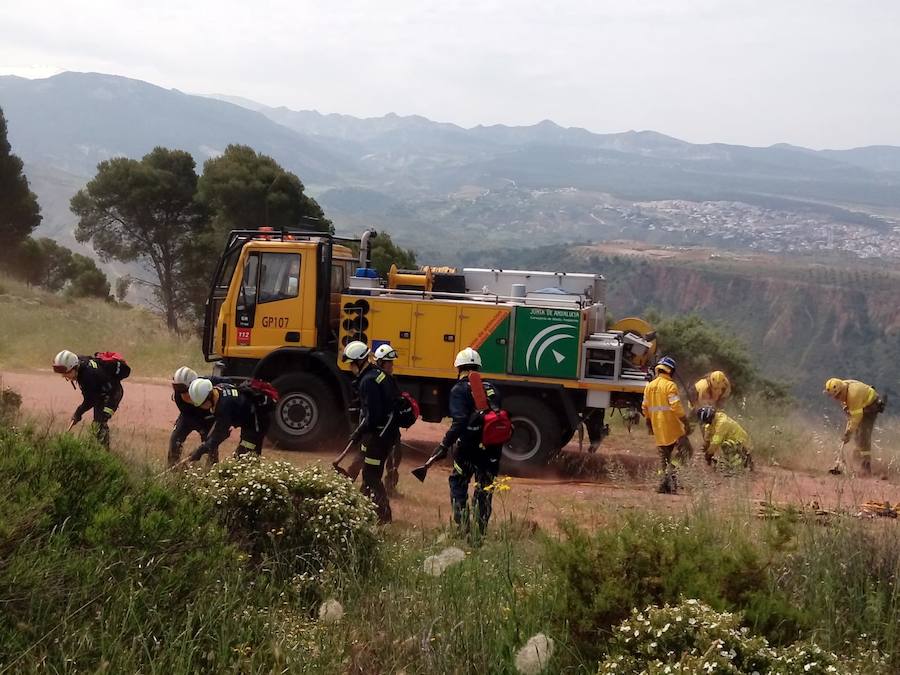 Simulacro de incendio forestal en Cenes de la Vega