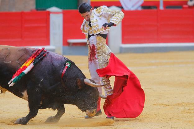 Salió el toro y llegó la apoteosis