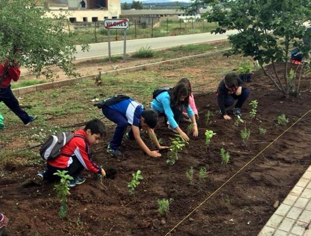 Objetivo: respetar el medio ambiente