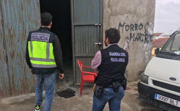 Veinte detenidos en una operación antidroga en La Carolina y Segura de la Sierra