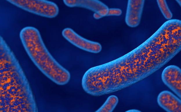 La Estación Experimental del Zaidín se beneficia de medio millón para estudiar microbiomas