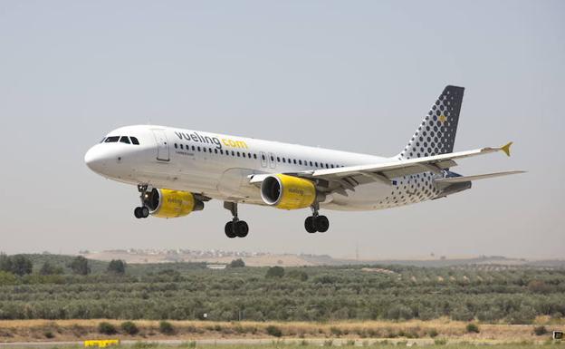 Un pájaro rompe un avión de Vueling en el aeropuerto de Granada con destino a Barcelona