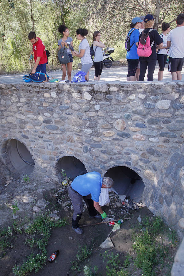 Vecinos de Cenes limpian la ribera del Genil