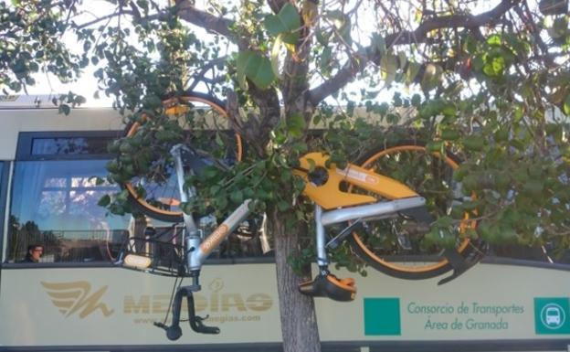 Facua exige a Ofo y Obike que devuelvan dinero por préstamo de bicicletas