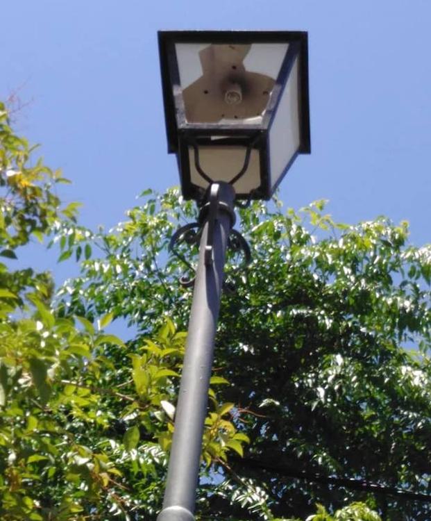 El Ayuntamiento de La Guardia de Jaén instalará un buzón para denuncias anónimas de actos vandálicos