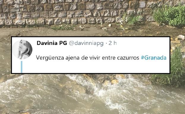 «Ahora que no hay bicis, tiran esto al río en Granada: vergüenza ajena de cazurros»