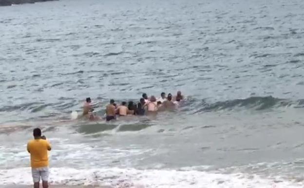 El rescate de una cría de ballena en una playa de España que emociona a las redes