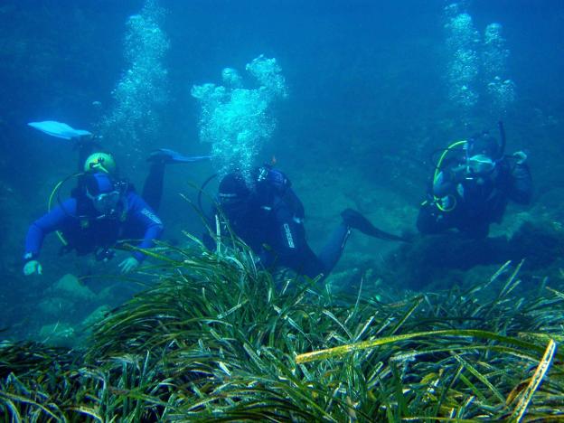 Los deportes náuticos se impulsarán como atractivo turístico con un proyecto europeo