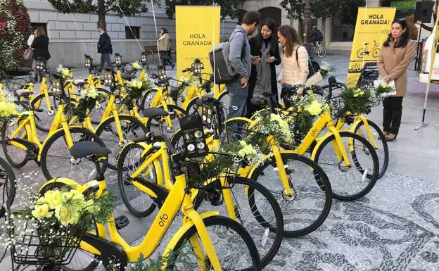 El Ayuntamiento de Granada prepara una ordenanza para regular el uso de la bici de alquiler y perseguir el vandalismo