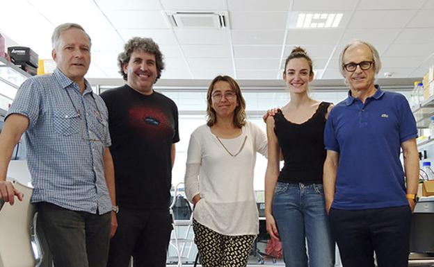 Logran frenar los avances de la esclerosis múltiple en ratones