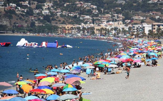 Almuñécar coloca la bandera amarilla en tres playas «por precaución» ante las medusas