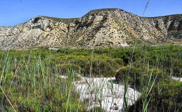 la cañada de la sal, el humedal de cúllar