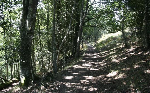 Diez rutas para disfrutar de la naturaleza