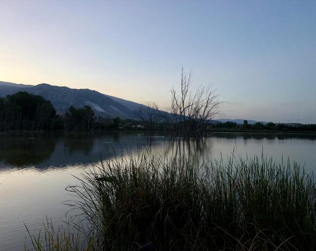 El Padul, entre el humedal y el mamut