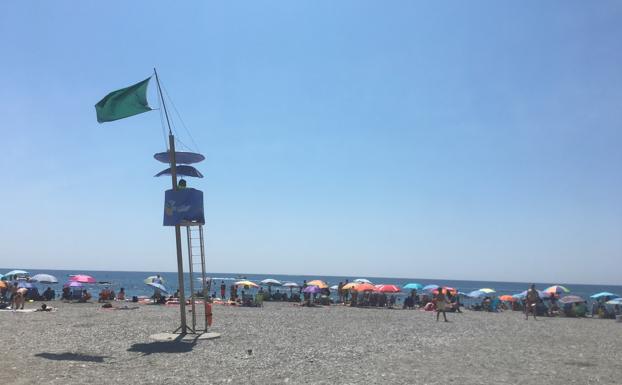 Jornada fabulosa para los bañistas: Sin rastro de medusas