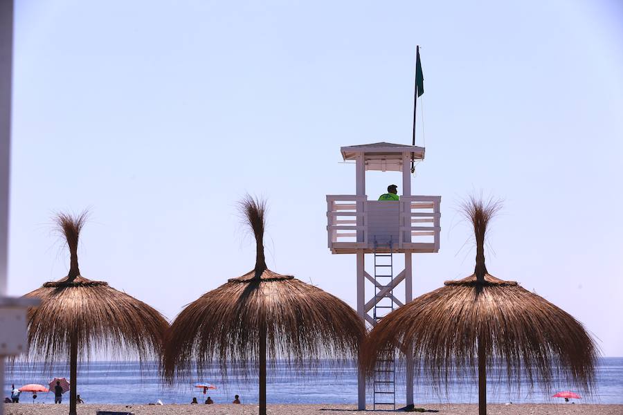 De nuevo las medusas dan una tregua en las playas de la Costa