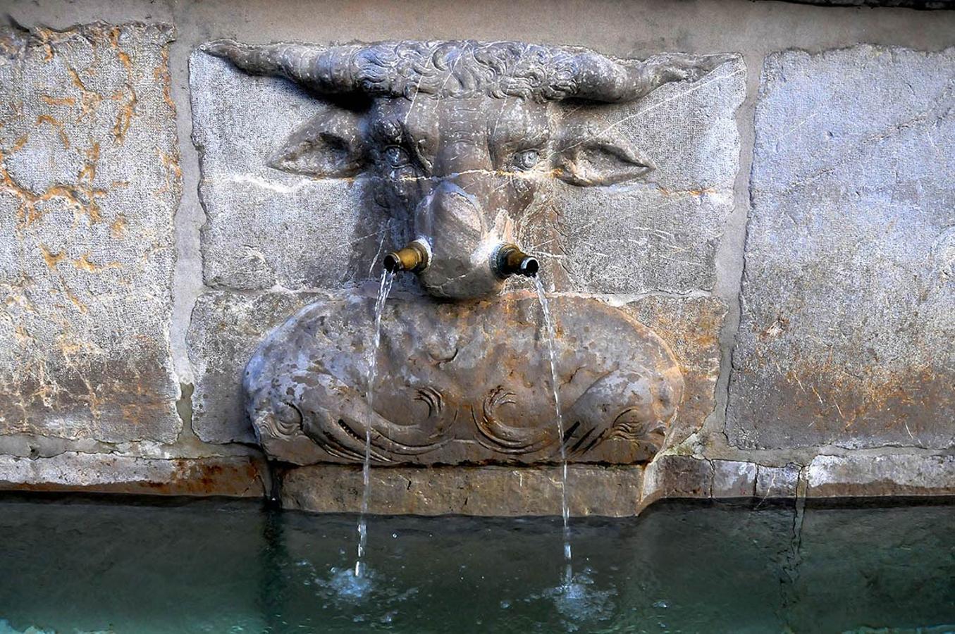 Ruta de la fauna de piedra